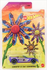 2022 Spring Collection